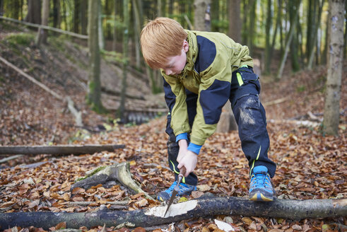 Boy chopping wood in forest - JEDF00289