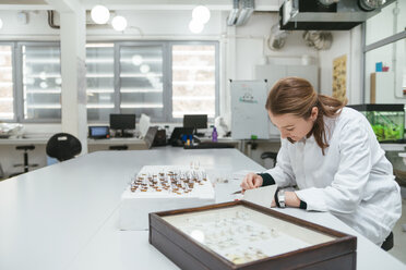 Laborant im Biologielabor - ZEDF00559