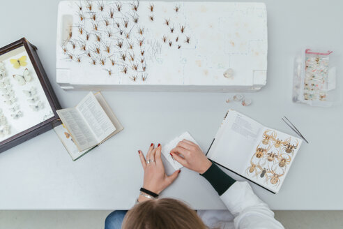 Laboratory technician working in biology lab - ZEDF00562