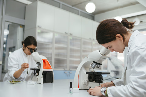 Laboratory technicians using microscopes in lab stock photo