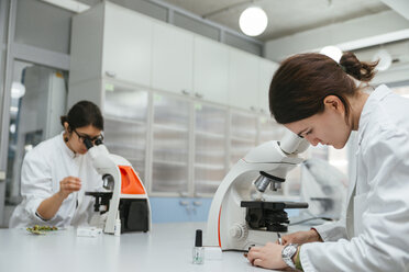 Laboranten, die Mikroskope im Labor benutzen - ZEDF00563