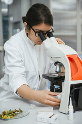 Laboratory technician using microscope in lab - ZEDF00565