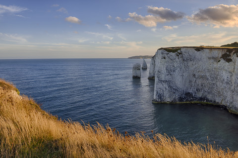 UK, Dorset, Jurassic Coast, Isle of Purbeck, Old Harry Rocks, lizenzfreies Stockfoto