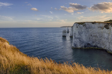UK, Dorset, Jurassic Coast, Isle of Purbeck, Old Harry Rocks - RUEF01780