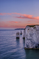 UK, Dorset, Jurassic Coast, Isle of Purbeck, Old Harry Rocks - RUEF01781