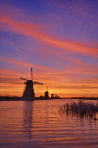 Niederlande, Rotterdam, Windmühlen am Kinderdijk bei Sonnenaufgang - RUEF01787