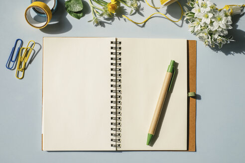 Notebook, Büromaterial und Frühlingsblumen auf hellblauem Hintergrund - MOMF00125