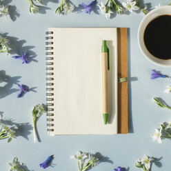 Notizbuch, Stift, Tasse Kaffee und Frühlingsblumen auf hellblauem Hintergrund - MOMF00139