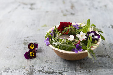 Schüssel mit Blattsalat mit roten Radieschen, Kresse und essbaren Blüten - MYF01905
