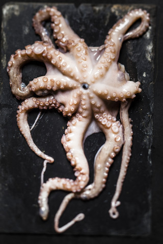 Roher Oktopus auf Schiefer, lizenzfreies Stockfoto