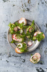 Baguettescheiben mit Rucola, Feldsalat, rotem Rettich und Zwiebelringen - MYF01908