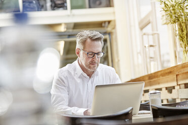 Mature businessman in cafe using laptop - FMKF03909