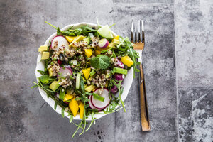 Mango quinoa salad with rocket, avocado, cucumber, red radishes and pumpkin seeds - SARF03294