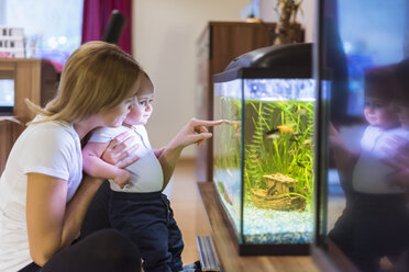 Mutter und kleiner Sohn sehen sich ein Aquarium an - DIGF01994