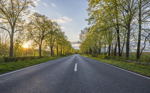 Empty treelined street at sunset stock photo