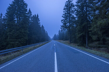 Deutschland, Niedersachsen, neblige Straße durch den Nationalpark Harz in der Abenddämmerung - PVCF01079