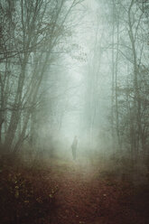 Man on forest path in fog - DWIF00845