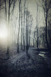 Man on forest path at sunrise - DWIF00847