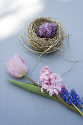 Osterdekoration mit Nest, Ei und Frühlingsblumen - GISF00281