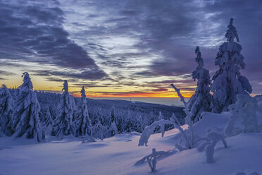 Deutschland, Niedersachsen, Nationalpark Harz, Winterlandschaft bei Sonnenuntergang - PVCF01080