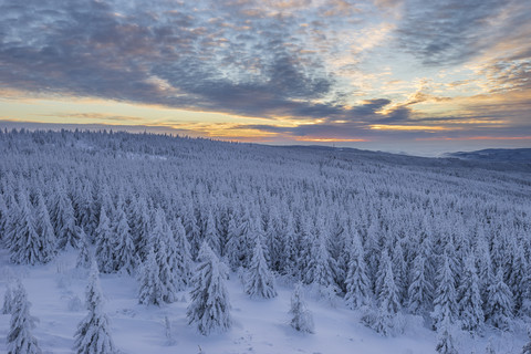 Deutschland, Niedersachsen, Nationalpark Harz, Winterlandschaft bei Sonnenuntergang, lizenzfreies Stockfoto