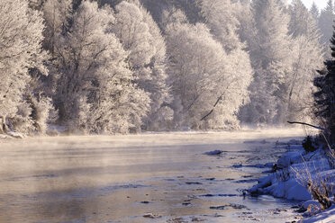 Deutschland, Bayern, Geretsried, Isar, Wintermorgen - SIEF07404