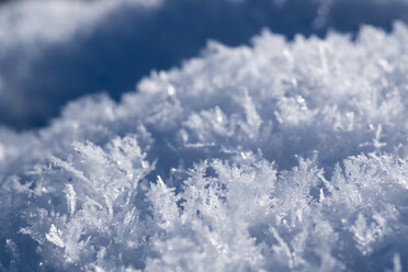 Ice crystals - SIEF07409