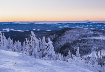 Deutschland, Bayern, Bayerischer Wald im Winter, Großer Arber, schneebedeckte Fichten am Morgen - SIEF07410