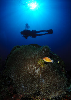 Philippinen, Dumaguete, Taucher im Meer - TOVF00076