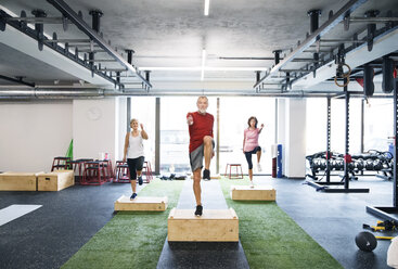 Eine Gruppe fitter Senioren trainiert mit Holzkisten im Fitnessstudio - HAPF01513