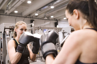 Junge Frauen boxen im Fitnessstudio - HAPF01548