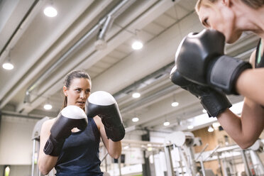 Junge Frauen boxen im Fitnessstudio - HAPF01551