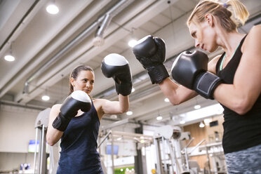 Junge Frauen boxen im Fitnessstudio - HAPF01552