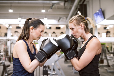 Young women boxing in gym - HAPF01553