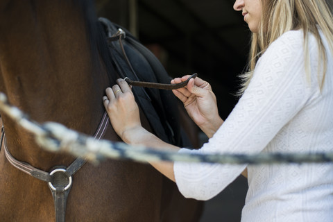 Young woman applying saddle at horse's back stock photo