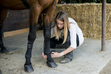 Young woman applying bandage to horse's leg - ZOCF00233