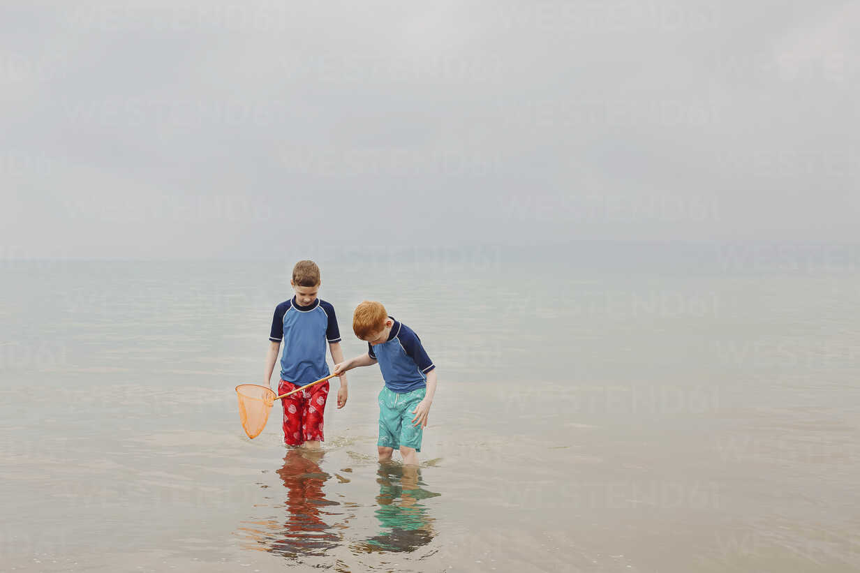 Two boys with dip net in the sea stock photo
