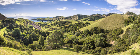 Neuseeland, Coromandel Peninsula, Landschaften, lizenzfreies Stockfoto