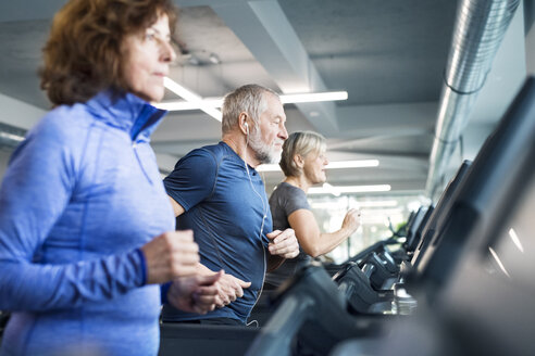 Group of fit seniors on treadmills working out in gym - HAPF01641