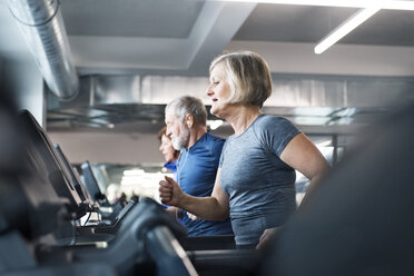 Group of fit seniors on treadmills working out in gym, man smiling