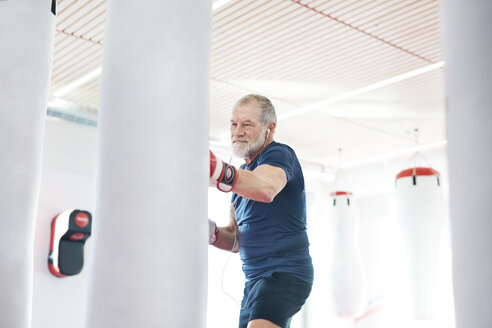 Fit senior man in boxing gloves fighting - HAPF01675