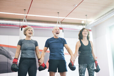 Gruppe glücklicher Senioren beim Training im Fitnessstudio, Boxen - HAPF01683