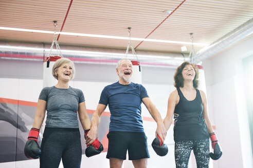 Group of happy seniors working out in gym, boxing - HAPF01683