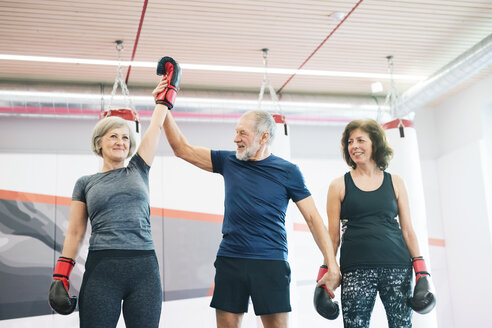 Group of happy seniors working out in gym, boxing - HAPF01685