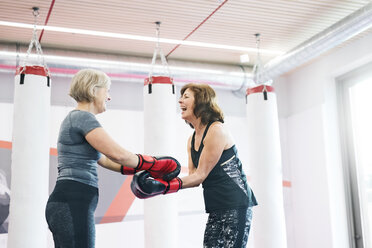 Zwei glückliche ältere Frauen mit Boxhandschuhen im Fitnessstudio - HAPF01686