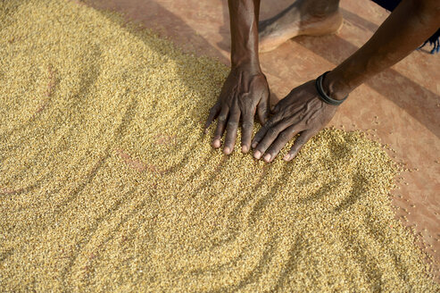 Burkina Faso, village Koungo, woman spreading out sorghum grains to dry in the sunshine - FLKF00801