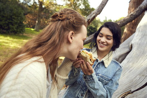 Two best frineds eating a sandwich together in nature - SRYF00446