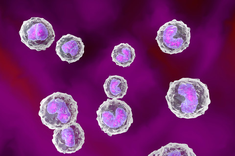 Monocyte immune system defense cells, 3D Rendering stock photo