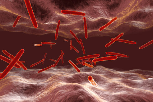 Tuberkulosebakterien in einem Organismus, 3D-Rendering - SPCF00152