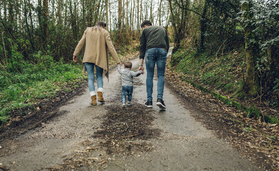 Rückansicht einer Familie beim Spaziergang im Wald im Herbst - DAPF00717